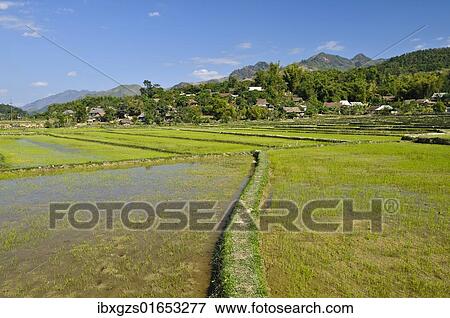 "Mai Chau Valley, Vietnam, Asia" View Large Photo Image Stock Photo - "Mai Chau Valley, Vietnam, Asia". Fotosearch
