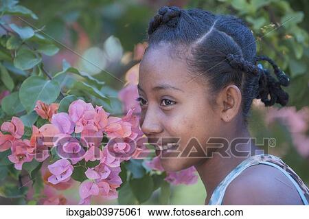 "Malagasy girl, 15-16 years, Morondava, Toliara province, Madagascar, Africa" View Large Photo Image Stock Image - "Malagasy girl, 15-16 years, Morondava, Toliara province, Madagascar, Africa". Fotosearch