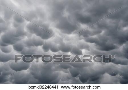 "Mammatus clouds, cellular pattern of pouches hanging underneath the base of a thunderstorm cloud, also known as Cumulonimbus cloud, Baden-Wuettemberg, Germany, Europe" View Large Photo Image Stock Image - "Mammatus clouds, cellular pattern of pouches hanging underneath the base of a thunderstorm cloud, also known as Cumulonimbus cloud, Baden-Wuettemberg, Germany, Europe". Fotosearch