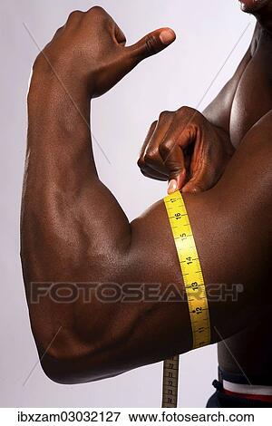 Man measuring his biceps with a tape measure View Large Photo Image Stock Photo - Man measuring his biceps with a tape measure. Fotosearch