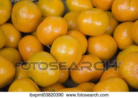 Mandarin oranges (Citrus reticulata) View Large Photo Image Stock Image - Mandarin oranges (Citrus reticulata). Fotosearch