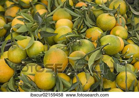 "Mandarins, market stall on the Piazza Sandro Perlini, Sant Antioco, Isola di Sant Antioco, Sardinia, Italy, Europe" View Large Photo Image Stock Photo - "Mandarins, market stall on the Piazza Sandro Perlini, Sant Antioco, Isola di Sant Antioco, Sardinia, Italy, Europe". Fotosearch