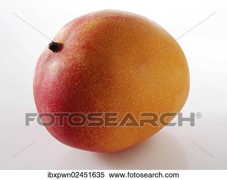 Mango View Large Photo Image Stock Photography - Mango. Fotosearch