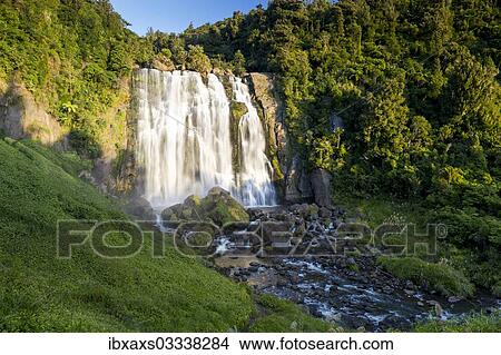"Marokopa Falls in the evening light, Te Anga, Waikato Region, New Zealand, Oceania" View Large Photo Image Picture - "Marokopa Falls in the evening light, Te Anga, Waikato Region, New Zealand, Oceania". Fotosearch