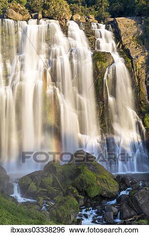 "Marokopa Falls in the evening light with a rainbow, Te Anga, Waikato Region, New Zealand, Oceania" View Large Photo Image Stock Photograph - "Marokopa Falls in the evening light with a rainbow, Te Anga, Waikato Region, New Zealand, Oceania". Fotosearch