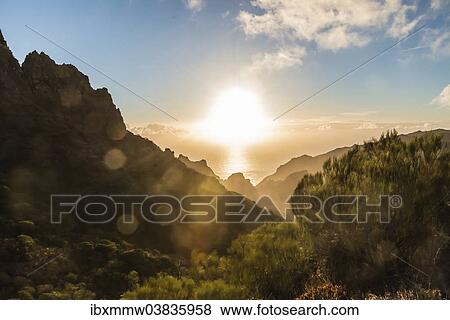 "Masca Gorge, mountain silhouettes at sunset, Tenerife, Canary Islands, Spain, Europe" View Large Photo Image Stock Photo - "Masca Gorge, mountain silhouettes at sunset, Tenerife, Canary Islands, Spain, Europe". Fotosearch