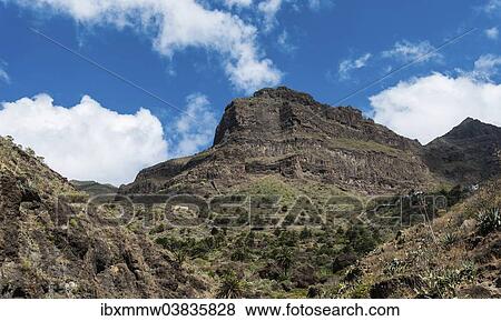 "Masca Gorge, Tenerife, Canary Islands, Spain, Europe" View Large Photo Image Stock Photo - "Masca Gorge, Tenerife, Canary Islands, Spain, Europe". Fotosearch