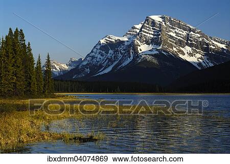 "Matt Patterson and Waterfowl Lake in the evening light, Banff National Park, Rocky Mountains, Alberta Province, Canada, North America" View Large Photo Image Stock Photo - "Matt Patterson and Waterfowl Lake in the evening light, Banff National Park, Rocky Mountains, Alberta Province, Canada, North America". Fotosearch