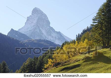 Stock Photo - "Matterhorn in an autumnal area, Zermatt, Valais, Switzerland, Europe". Fotosearch