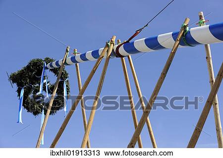 Stock Image - "Maypole being erected in Gelting, district of Bad Toelz-Wolfratshausen, Upper Bavaria, Bavaria, Germany, Europe". Fotosearch