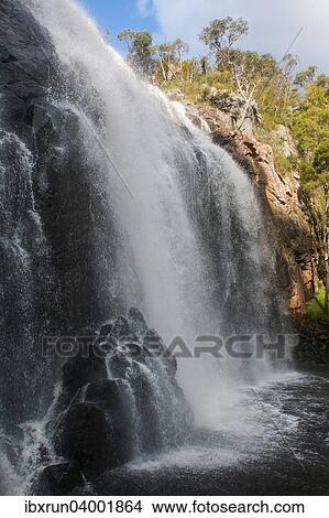 "McKenzie Falls, Grampians National Park, Victoria, Australia, Oceania" View Large Photo Image Picture - "McKenzie Falls, Grampians National Park, Victoria, Australia, Oceania". Fotosearch