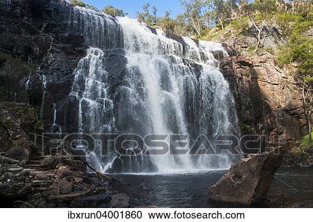 "McKenzie Falls, Grampians National Park, Victoria, Australia, Oceania" View Large Photo Image Stock Image - "McKenzie Falls, Grampians National Park, Victoria, Australia, Oceania". Fotosearch