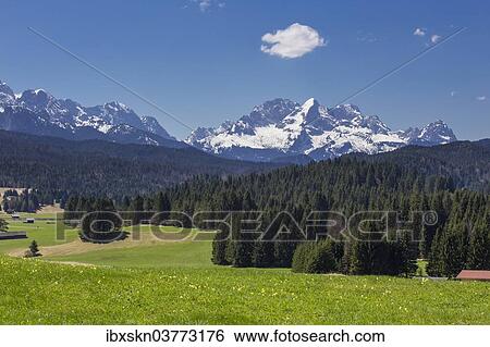 Stock Photograph - "Meadow and forest in front of Alpspitze Mountain and the Wetterstein Mountains, Mittenwald, Bavaria, Germany, Europe". Fotosearch