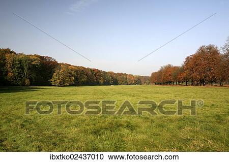 "Meadow, autumn in the recreation area at Decksteiner Weiher lake, Cologne, North Rhine-Westphalia, Germany, Europe" View Large Photo Image Stock Image - "Meadow, autumn in the recreation area at Decksteiner Weiher lake, Cologne, North Rhine-Westphalia, Germany, Europe". Fotosearch