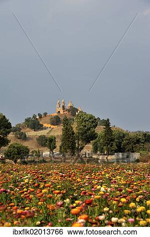 "Meadow of coloured flowers in front of the church of Iglesia Nuestra Senora de los Remedios on the ruins of the pre-Hispanic Pyramid of Cholula, San Pedro Cholula, Puebla, Mexico, Latin America, North America" View Large Photo Image Stock Photograph - "Meadow of coloured flowers in front of the church of Iglesia Nuestra Senora de los Remedios on the ruins of the pre-Hispanic Pyramid of Cholula, San Pedro Cholula, Puebla, Mexico, Latin America, North America". Fotosearch
