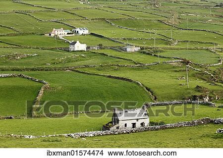 Picture - "Meadows with walls, Ballaghboy, Beara Peninsula, Cork, Republic of Ireland, British Isles, Europe". Fotosearch