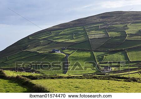 "Meadows with walls, Firkeel, Beara Peninsula, Cork, Republic of Ireland, British Isles, Europe" View Large Photo Image Stock Image - "Meadows with walls, Firkeel, Beara Peninsula, Cork, Republic of Ireland, British Isles, Europe". Fotosearch