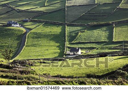 "Meadows with walls, Firkeel, Beara Peninsula, Cork, Republic of Ireland, British Isles, Europe" View Large Photo Image Stock Photo - "Meadows with walls, Firkeel, Beara Peninsula, Cork, Republic of Ireland, British Isles, Europe". Fotosearch