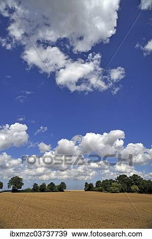 Stock Photo - "Mecklenburg agricultural landscape with cumulus clouds, Othenstorf, Mecklenburg-Western Pomerania, Germany, Europe". Fotosearch