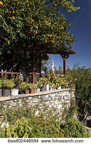 "Mediterranean pergola in front of the minaret of the mosque in Sirince, Turkey, Asia" View Large Photo Image Picture - "Mediterranean pergola in front of the minaret of the mosque in Sirince, Turkey, Asia". Fotosearch