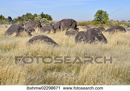 "Melon Gravels, basalt boulders, Hagerman Wildlife Area, Hagerman, Idaho, USA" View Large Photo Image Stock Image - "Melon Gravels, basalt boulders, Hagerman Wildlife Area, Hagerman, Idaho, USA". Fotosearch