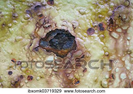 "Metal with flaking paint and rust, Faroe Islands, Faroe Islands, Denmark, Europe" View Large Photo Image Stock Photo - "Metal with flaking paint and rust, Faroe Islands, Faroe Islands, Denmark, Europe". Fotosearch