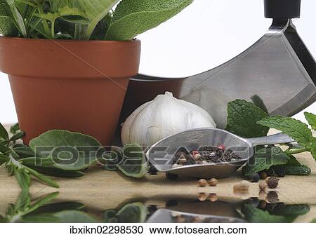 "Mezzaluna or herb chopper, herbs, spices and garlic" View Large Photo Image Stock Image - "Mezzaluna or herb chopper, herbs, spices and garlic". Fotosearch