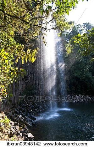 "Millaa Millaa Falls, Atherton Tableland, Queensland, Australia, Oceania" View Large Photo Image Stock Image - "Millaa Millaa Falls, Atherton Tableland, Queensland, Australia, Oceania". Fotosearch