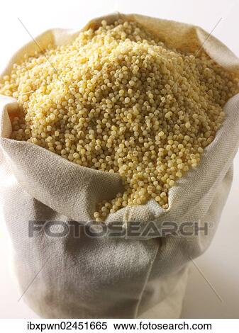 Millet grain View Large Photo Image Stock Photography - Millet grain. Fotosearch