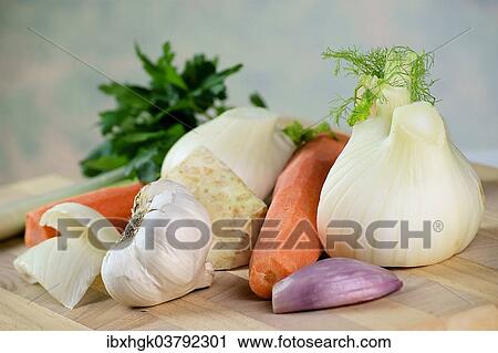 "Mirepoix, fennel, carrot, celery, garlic" View Large Photo Image Stock Image - "Mirepoix, fennel, carrot, celery, garlic". Fotosearch