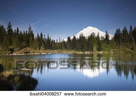 "Mirror Lake with Mount Hood, Government Camp, Oregon, United States, North America" View Large Photo Image Stock Photo - "Mirror Lake with Mount Hood, Government Camp, Oregon, United States, North America". Fotosearch
