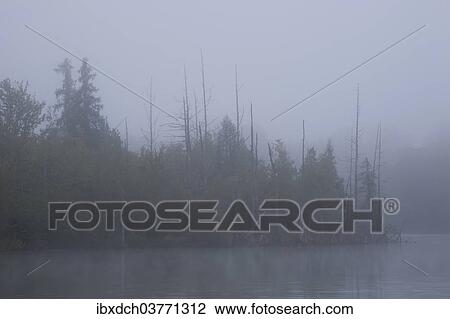 "Misty lake and trees, early morning, Waterloo, Eastern Townships, Quebec Province, Canada, North America" View Large Photo Image Stock Image - "Misty lake and trees, early morning, Waterloo, Eastern Townships, Quebec Province, Canada, North America". Fotosearch