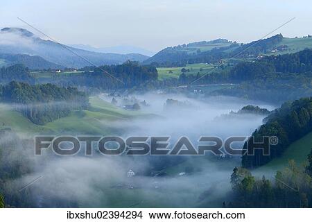 Picture - "Misty landscape in autumn, Hirzel area, Zurich, Switzerland, Europe". Fotosearch