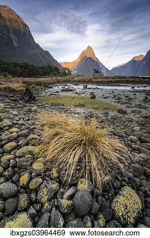 Stock Photo - "Mitre Peak, Fiordland National Park, Milford Sound, South Island, New Zealand, Oceania". Fotosearch