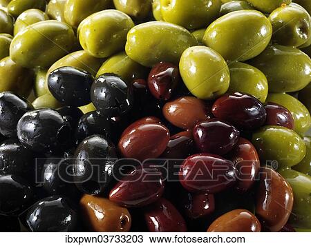 "Mixed kalamata, black and green olives" View Large Photo Image Stock Image - "Mixed kalamata, black and green olives". Fotosearch