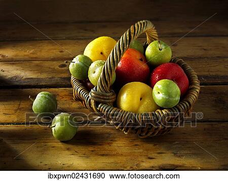 "Mixed red, yellow and green plums" View Large Photo Image Stock Image - "Mixed red, yellow and green plums". Fotosearch