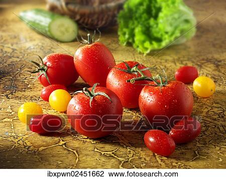 Mixed tomatoes View Large Photo Image Stock Image - Mixed tomatoes. Fotosearch