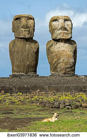 "Moai, Rano Raraku, Easter Island, Chile, South America" View Large Photo Image Stock Photograph - "Moai, Rano Raraku, Easter Island, Chile, South America". Fotosearch