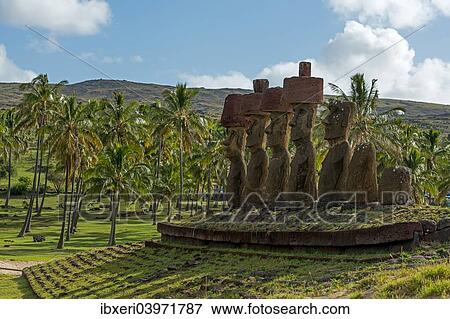 "Moais, palm trees, near Anakena, Rapa Nui, Easter Island, Chile, South America" View Large Photo Image Stock Photo - "Moais, palm trees, near Anakena, Rapa Nui, Easter Island, Chile, South America". Fotosearch