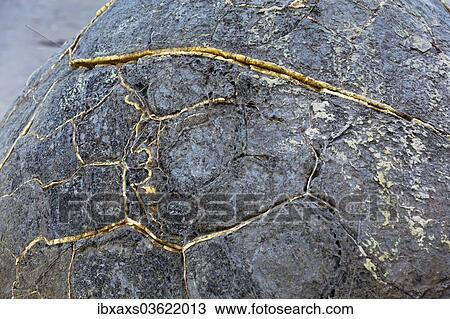 "Moeraki Boulder, detail of the stone structure, Moeraki Beach, Hampden, Otago Region, New Zealand, Oceania" View Large Photo Image Stock Image - "Moeraki Boulder, detail of the stone structure, Moeraki Beach, Hampden, Otago Region, New Zealand, Oceania". Fotosearch