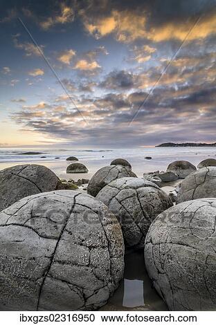 "Moeraki Boulders, geological feature, round rock balls, Coastal Otago, Moeraki, South Island, New Zealand, Oceania" View Large Photo Image Stock Image - "Moeraki Boulders, geological feature, round rock balls, Coastal Otago, Moeraki, South Island, New Zealand, Oceania". Fotosearch