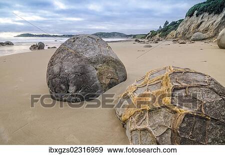 "Moeraki Boulders, geological feature, round rock balls, Coastal Otago, Moeraki, South Island, New Zealand, Oceania" View Large Photo Image Stock Photo - "Moeraki Boulders, geological feature, round rock balls, Coastal Otago, Moeraki, South Island, New Zealand, Oceania". Fotosearch