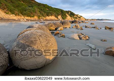 "Moeraki Boulders in the morning light, Moeraki Beach, Hampden, Otago Region, New Zealand, Oceania" View Large Photo Image Stock Photo - "Moeraki Boulders in the morning light, Moeraki Beach, Hampden, Otago Region, New Zealand, Oceania". Fotosearch