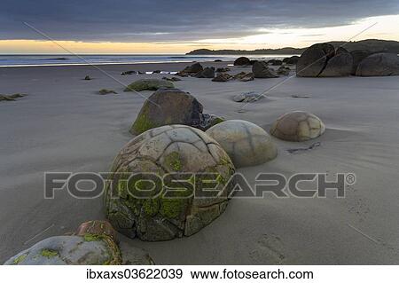 "Moeraki Boulders on the beach at dawn, Moeraki Beach, Hampden, Otago Region, New Zealand, Oceania" View Large Photo Image Stock Photo - "Moeraki Boulders on the beach at dawn, Moeraki Beach, Hampden, Otago Region, New Zealand, Oceania". Fotosearch
