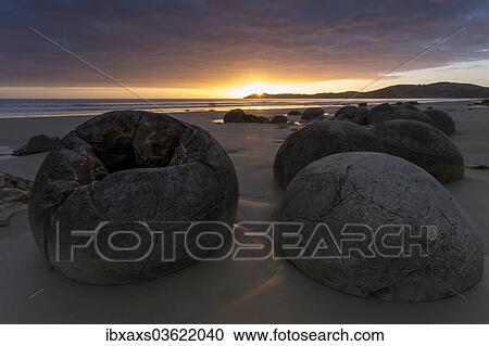 "Moeraki Boulders on the beach at sunrise, Moeraki Beach, Hampden, Otago Region, New Zealand, Oceania" View Large Photo Image Stock Image - "Moeraki Boulders on the beach at sunrise, Moeraki Beach, Hampden, Otago Region, New Zealand, Oceania". Fotosearch