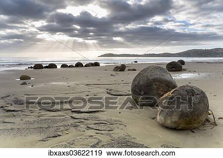 Stock Photo - "Moeraki Boulders on the beach with sunbeams in the early morning, Moeraki Beach, Hampden, Otago Region, New Zealand, Oceania". Fotosearch