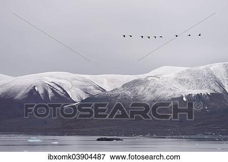 "Monacobreen glacier, Liefdefjorden fjord, Spitsbergen, Svalbard Islands, Svalbard and Jan Mayen, Norway, Europe" View Large Photo Image Stock Photo - "Monacobreen glacier, Liefdefjorden fjord, Spitsbergen, Svalbard Islands, Svalbard and Jan Mayen, Norway, Europe". Fotosearch