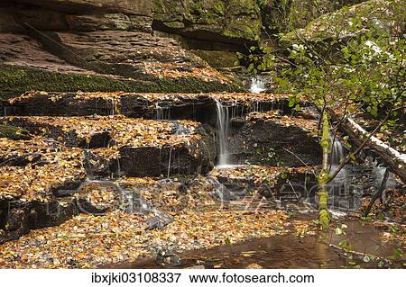 "Monbach stream in autumn, Monbachtal Nature Reserve, Bad Liebenzell, Northern Black Forest, Black Forest, Baden-Wurttemberg, Germany, Europe" View Large Photo Image Stock Photo - "Monbach stream in autumn, Monbachtal Nature Reserve, Bad Liebenzell, Northern Black Forest, Black Forest, Baden-Wurttemberg, Germany, Europe". Fotosearch