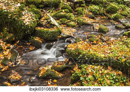 Stock Photograph - "Monbach stream in autumn, Monbachtal Nature Reserve, Bad Liebenzell, Northern Black Forest, Black Forest, Baden-Wurttemberg, Germany, Europe". Fotosearch