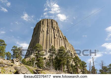 "Monolith, phonolite volcanic rock, basalt, light forest of Ponderosa Pines (Pinus ponderosa), Devils Tower National Monument, Wyoming, USA, United States of America, North America" View Large Photo Image Stock Photo - "Monolith, phonolite volcanic rock, basalt, light forest of Ponderosa Pines (Pinus ponderosa), Devils Tower National Monument, Wyoming, USA, United States of America, North America". Fotosearch